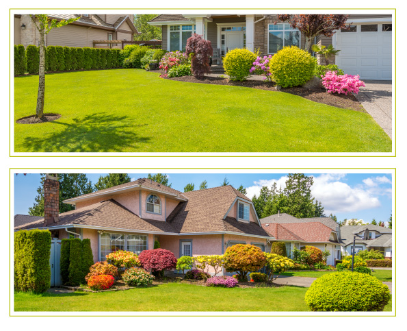 Hernandez Landscaping